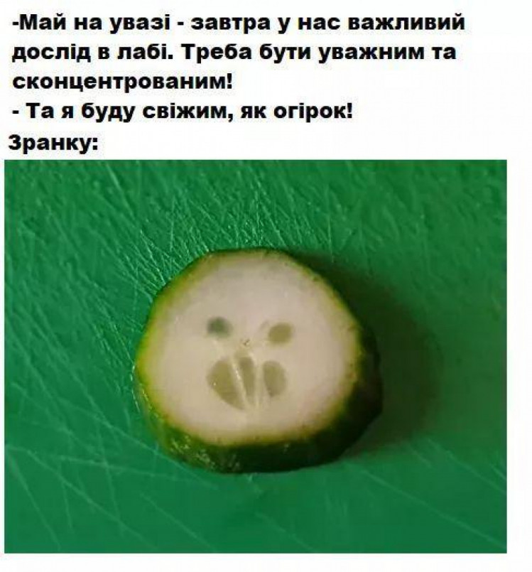 Анекдот дня