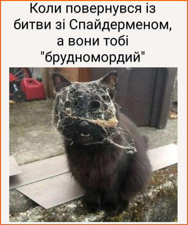 ...