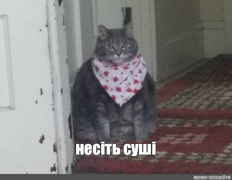 Анекдот дня