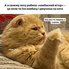 Анекдот дня