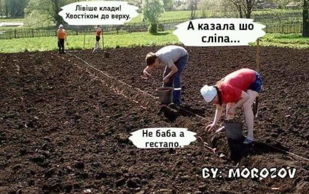 Анекдот дня