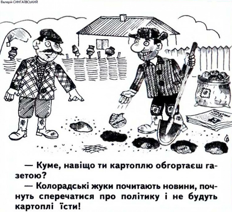 Анекдот дня