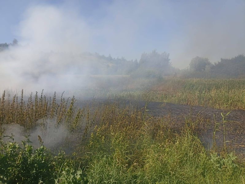За пів року на Калущині вигоріло 300 га землі