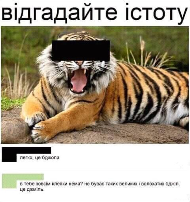 Анекдот дня