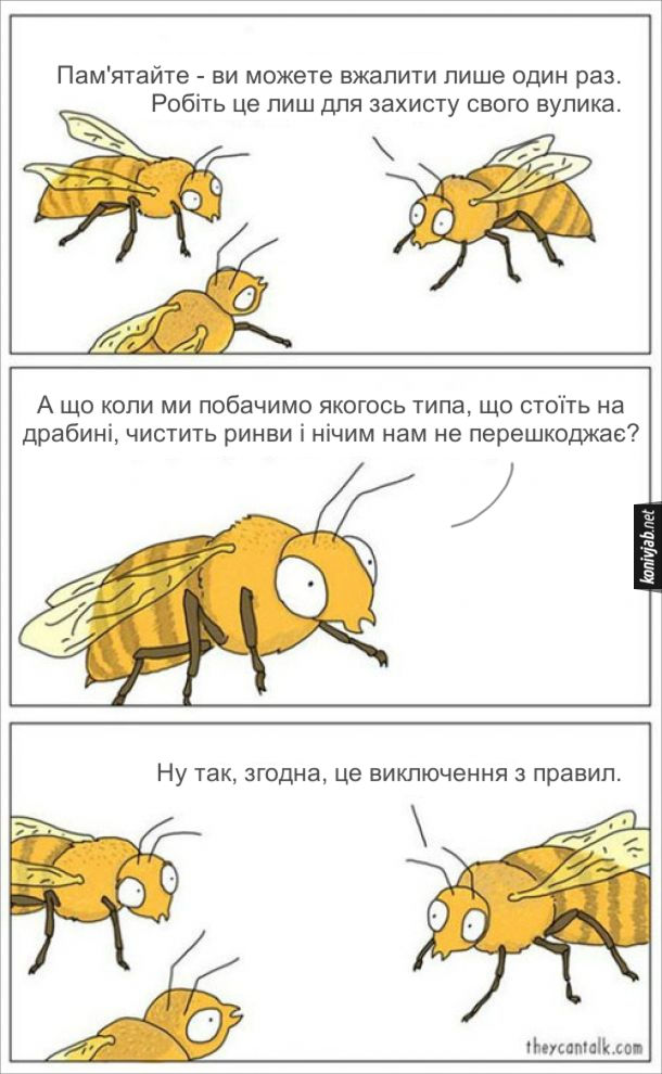Анекдот дня