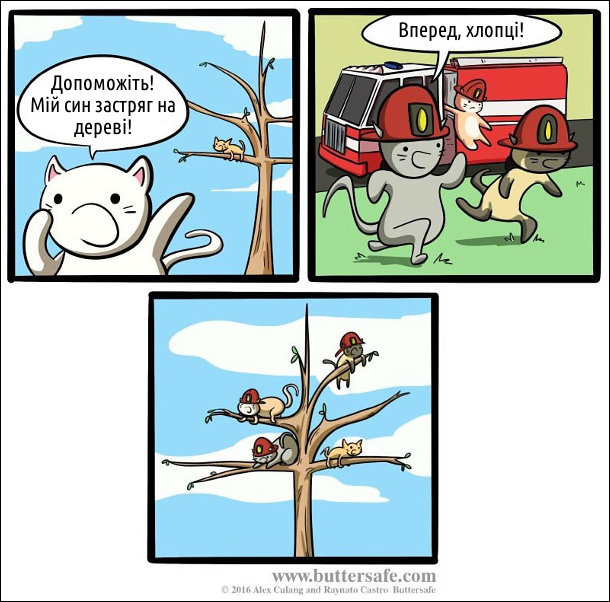 ...