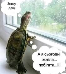 Анекдот дня