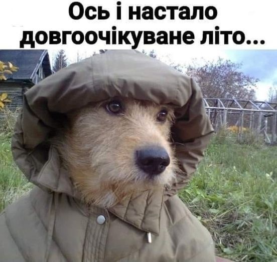 Анекдот дня