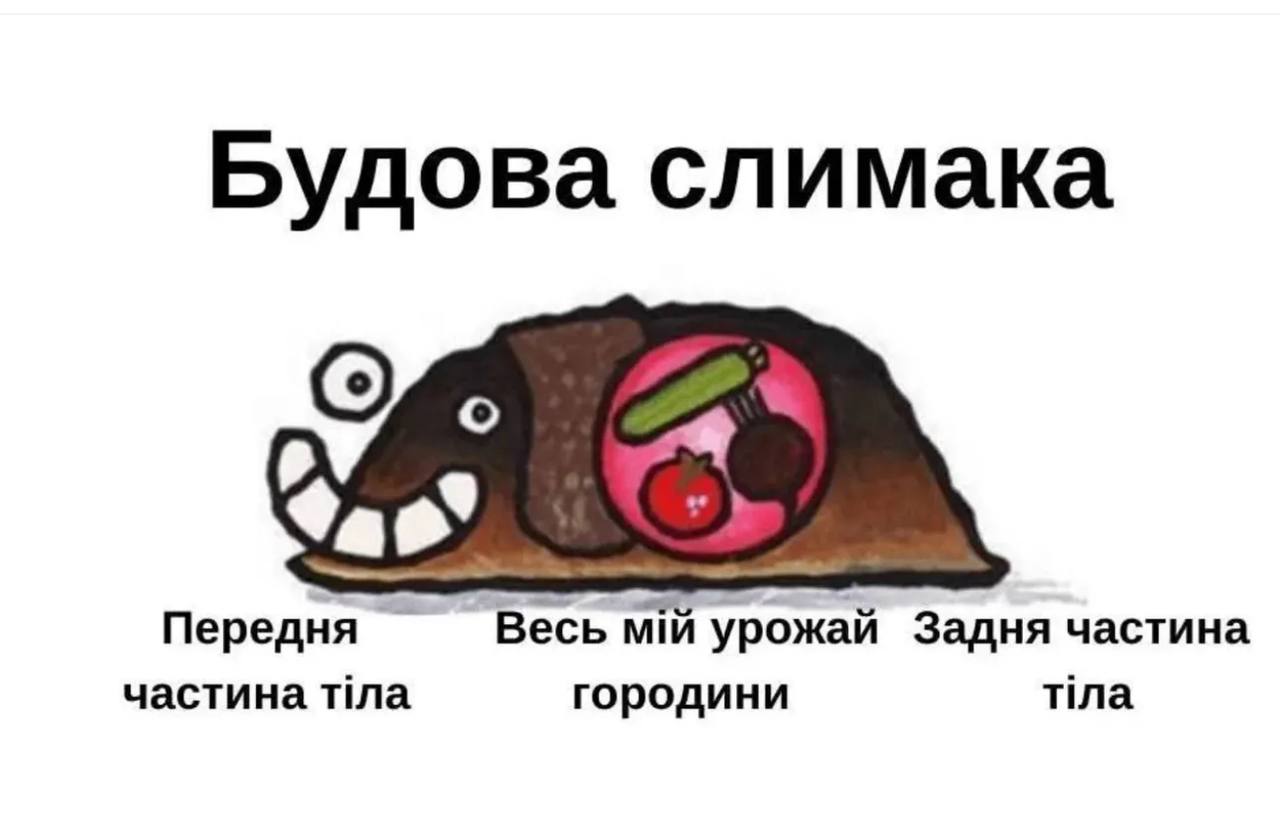 Анекдот дня