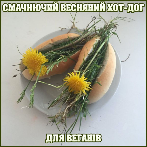 Анекдот дня