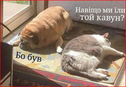 Анекдот дня