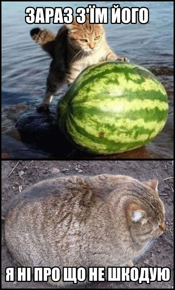 Анекдот дня