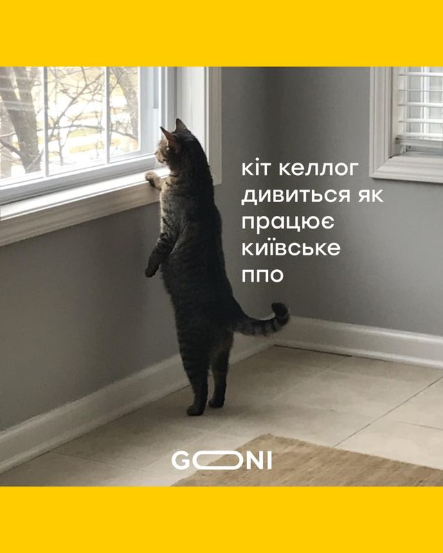 Анекдот дня