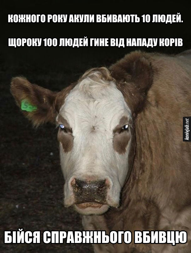 Анекдот дня