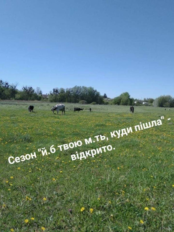 Анекдот дня