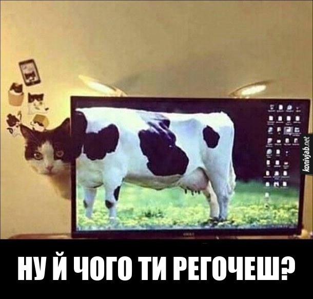 Анекдот дня