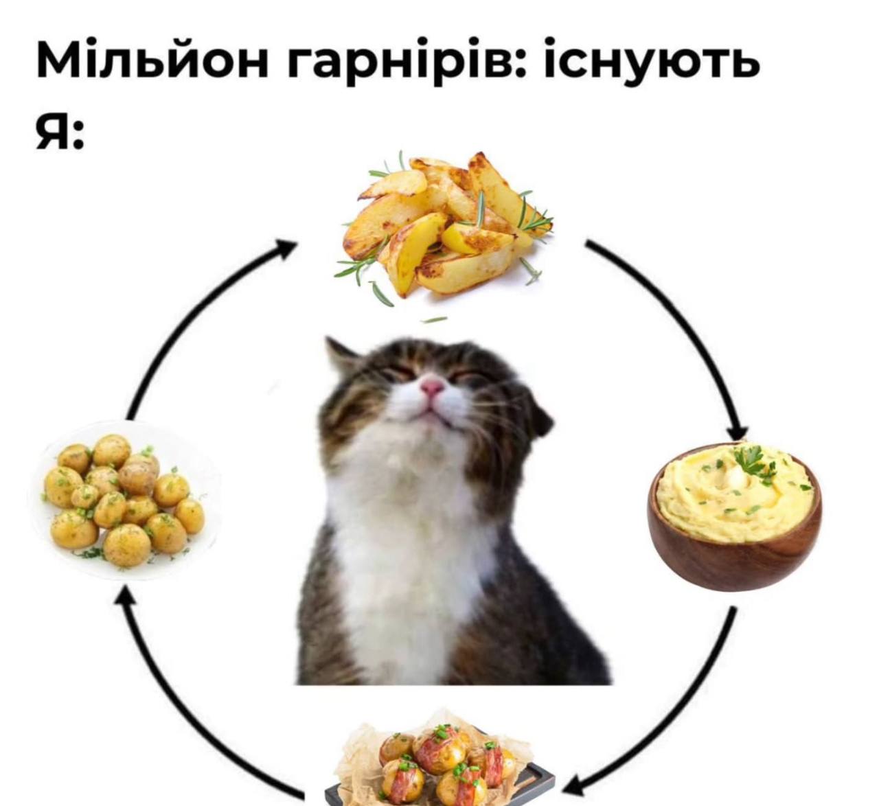 Анекдот дня