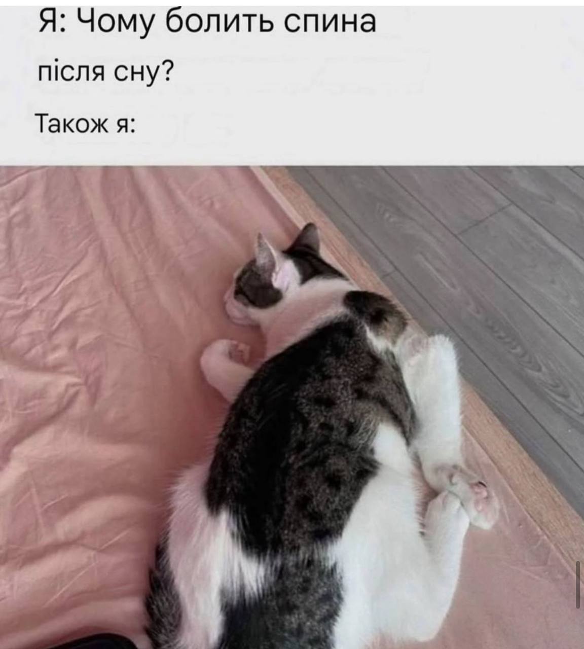 Анекдот дня