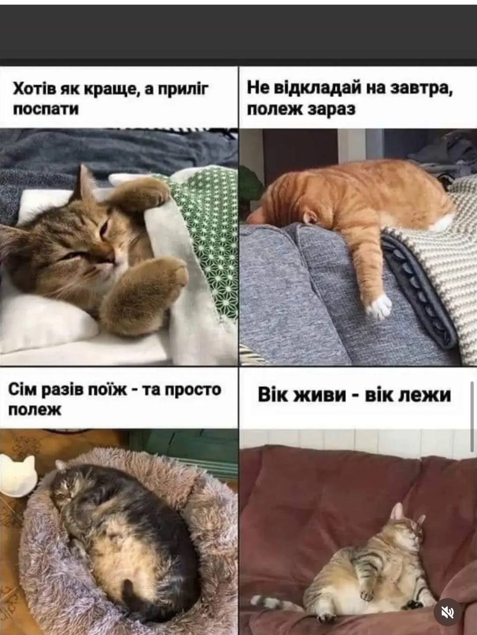 Анекдот дня