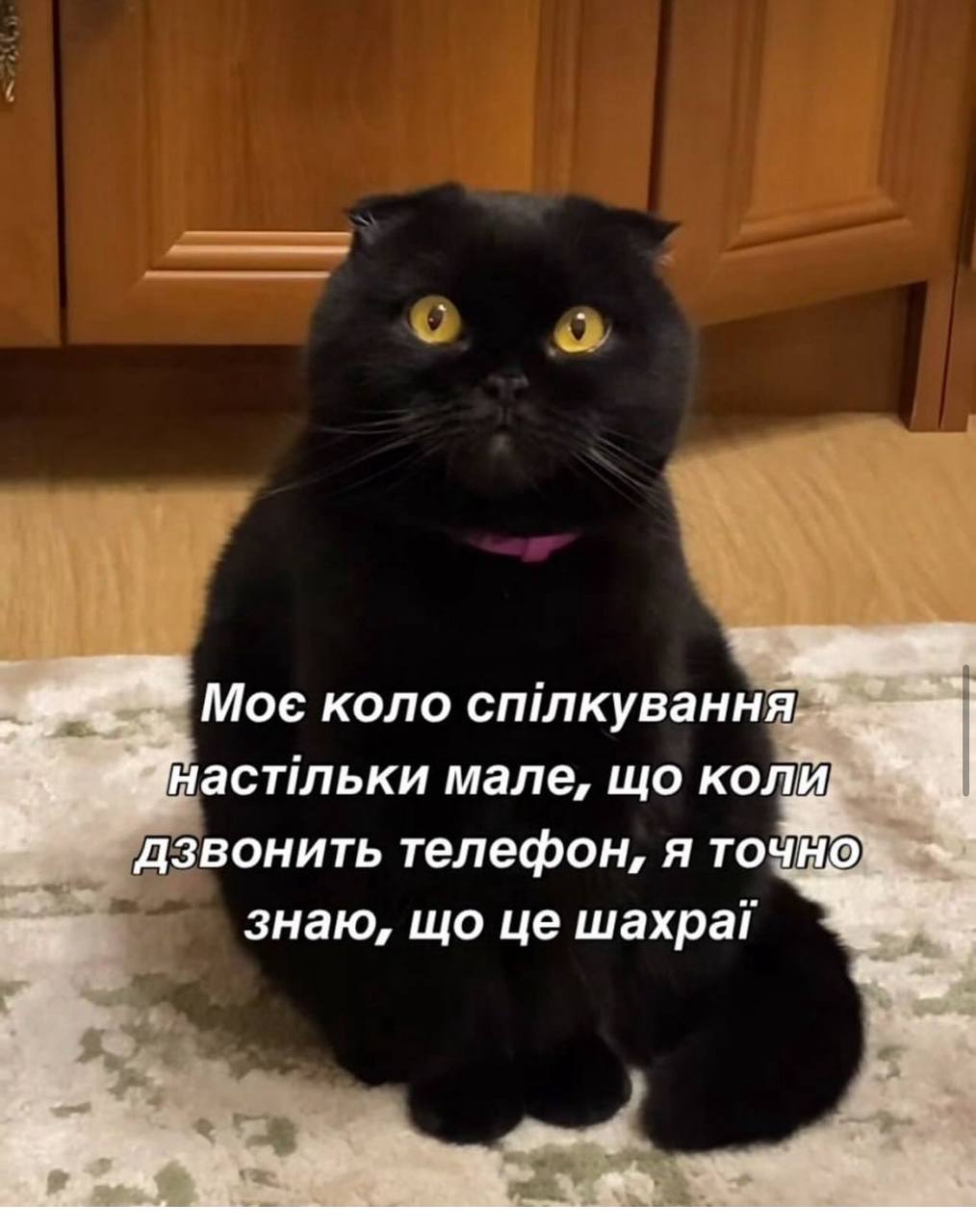 Анекдот дня