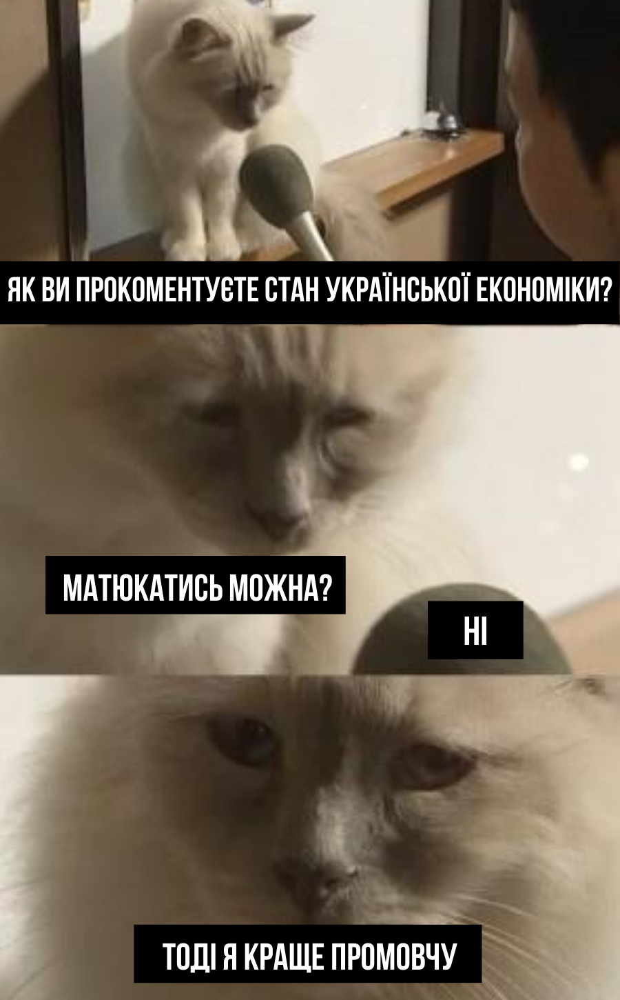 Анекдот дня