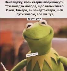 Анекдот дня