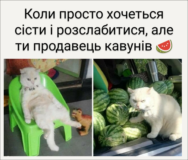 Анекдот дня