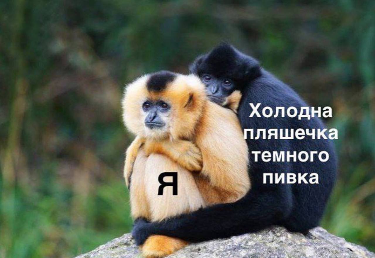 Анекдот дня