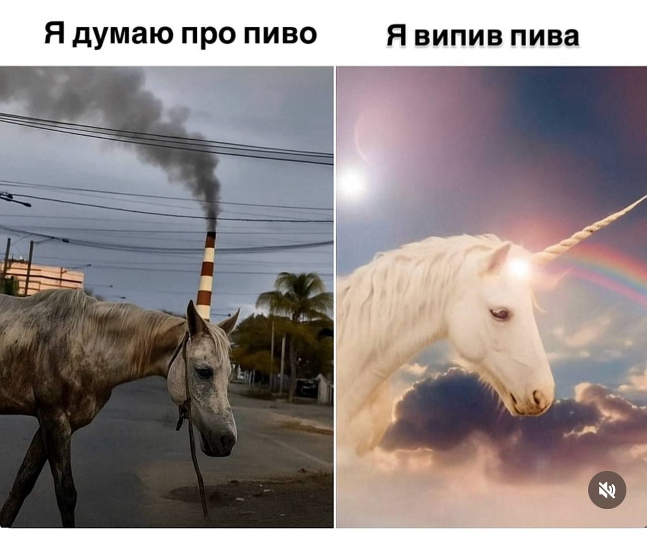 Анекдот дня