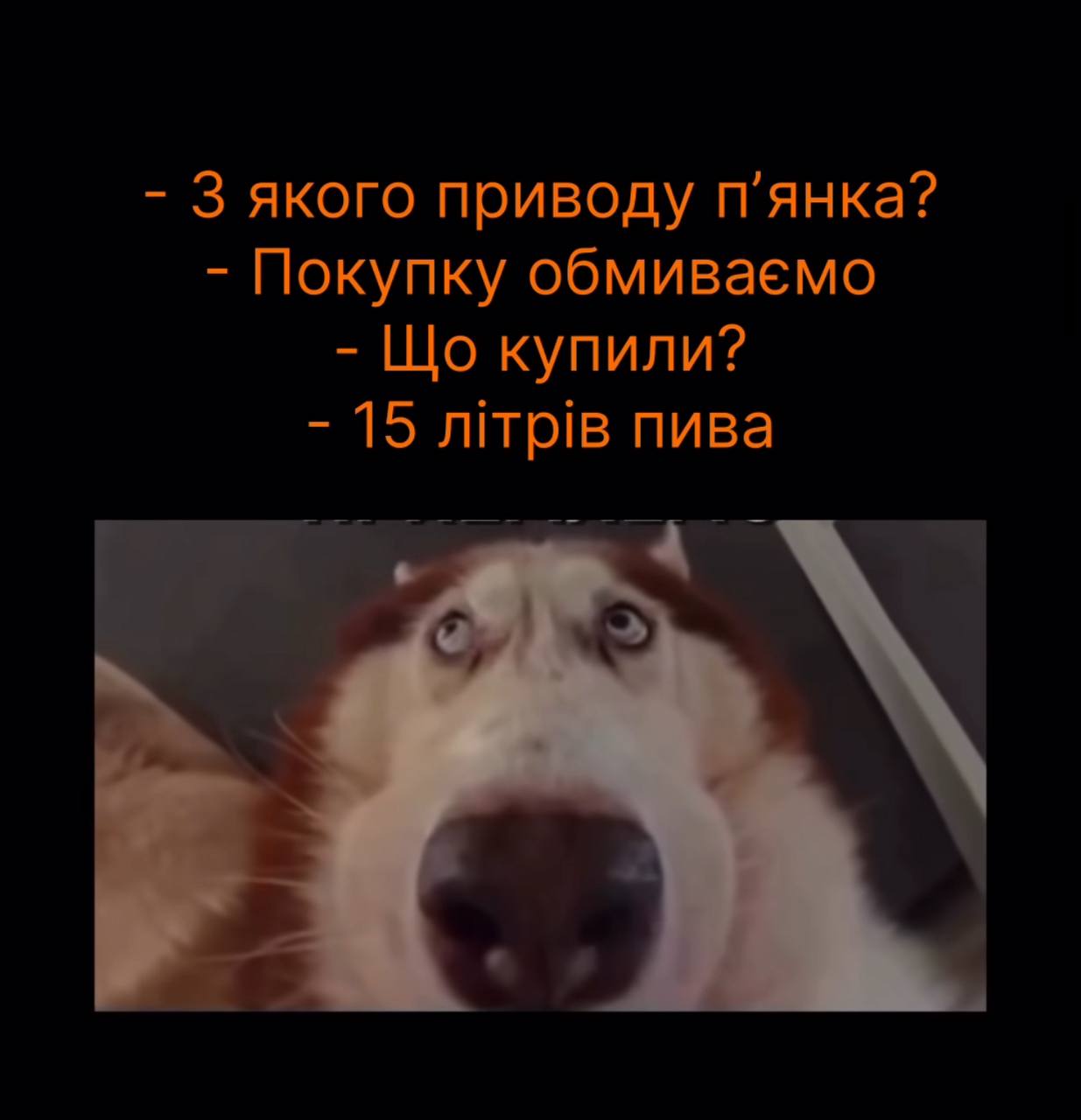 Анекдот дня