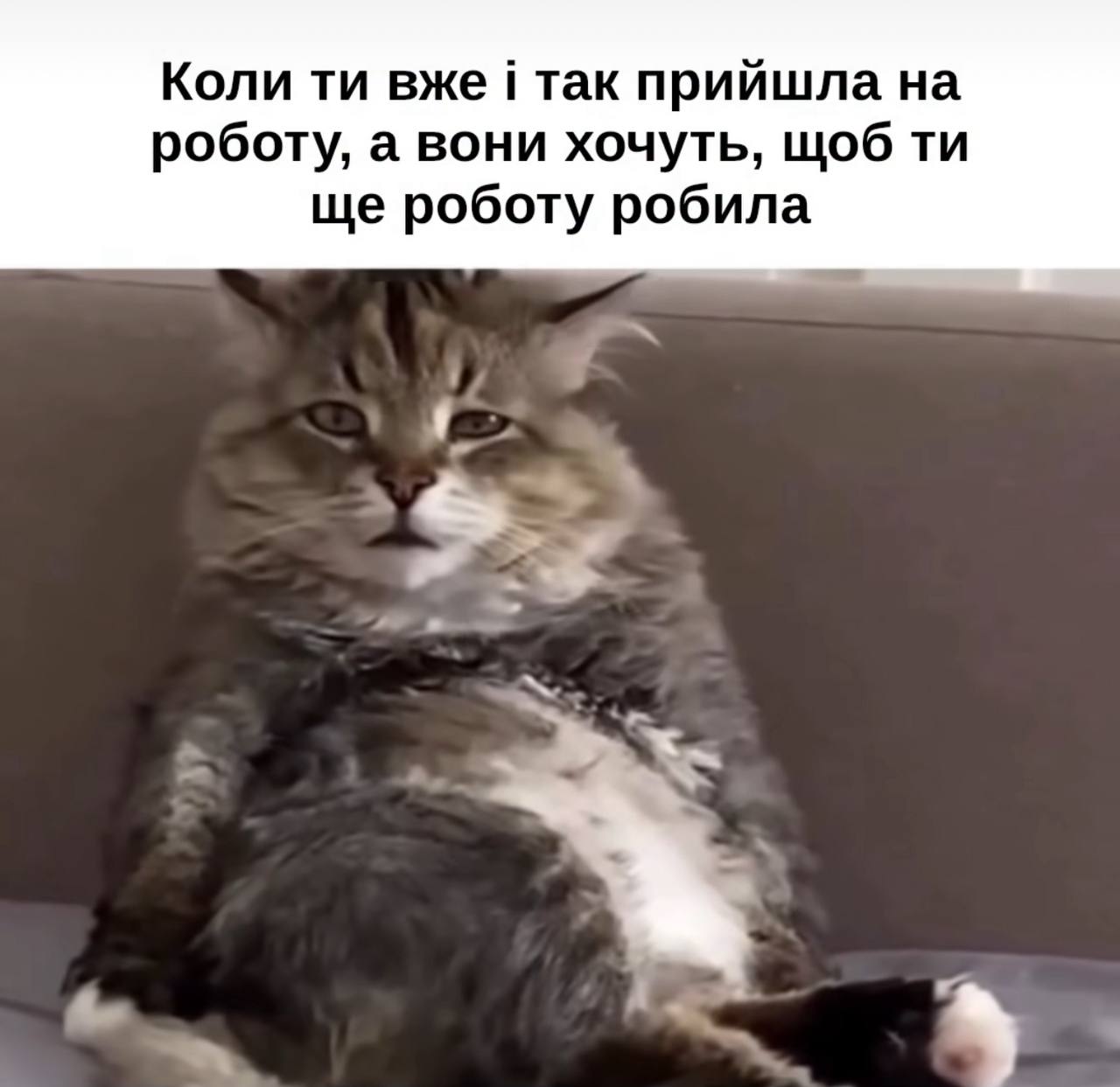 Анекдот дня