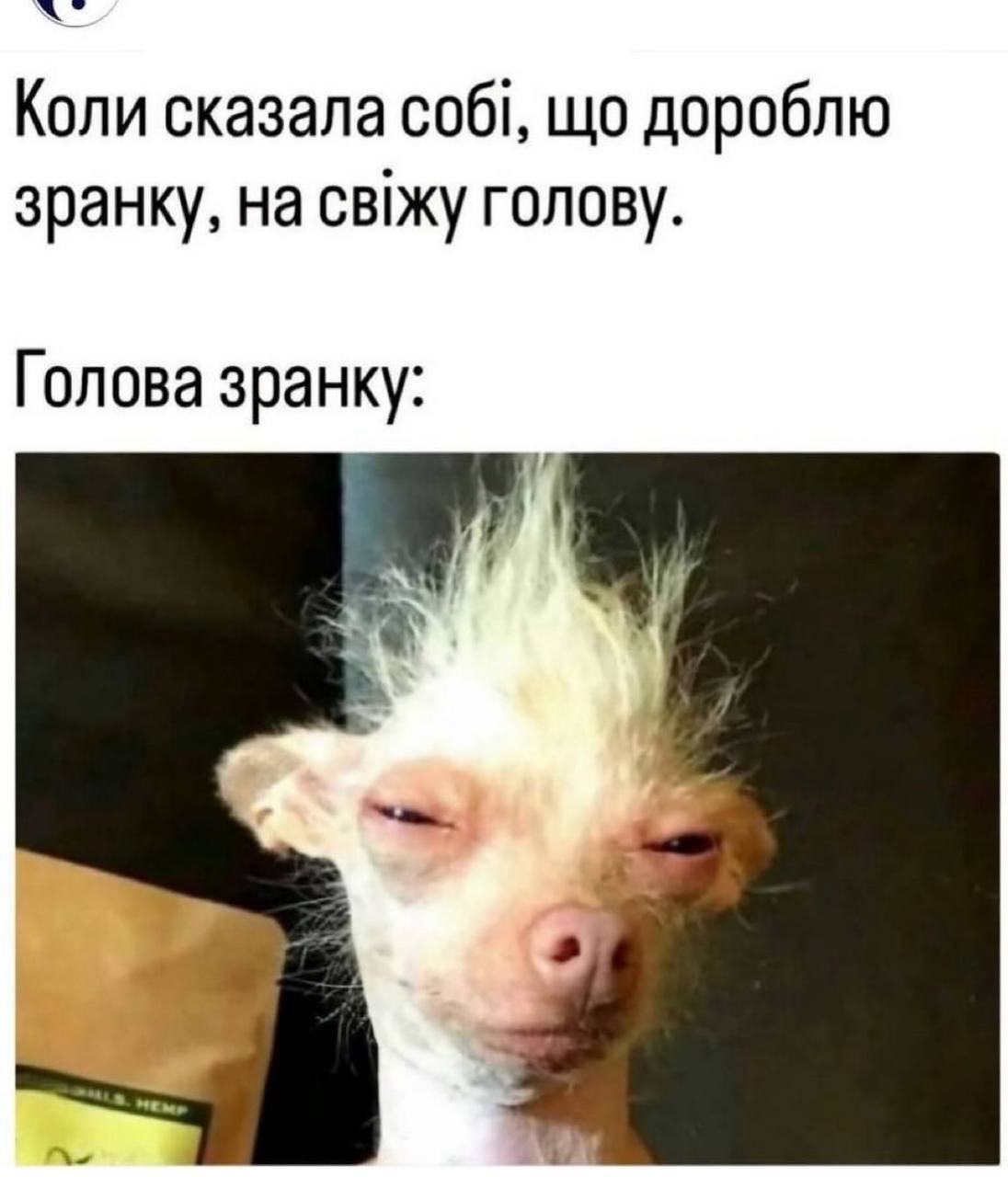 Анекдот дня