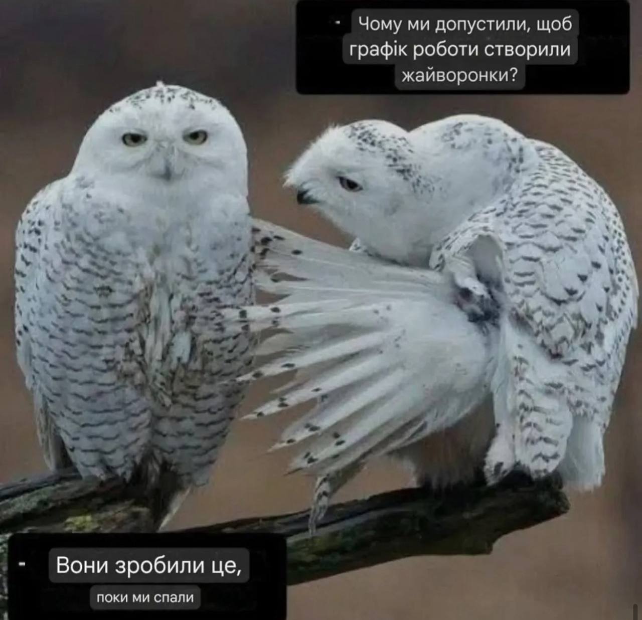 Анекдот дня