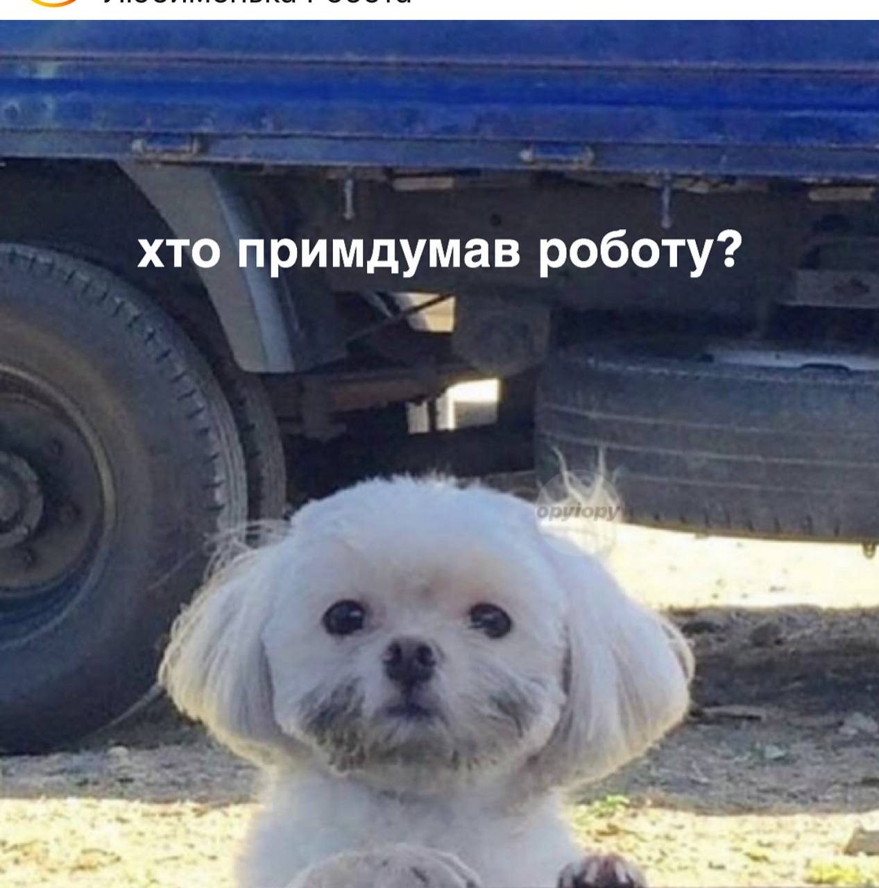 Анекдот дня