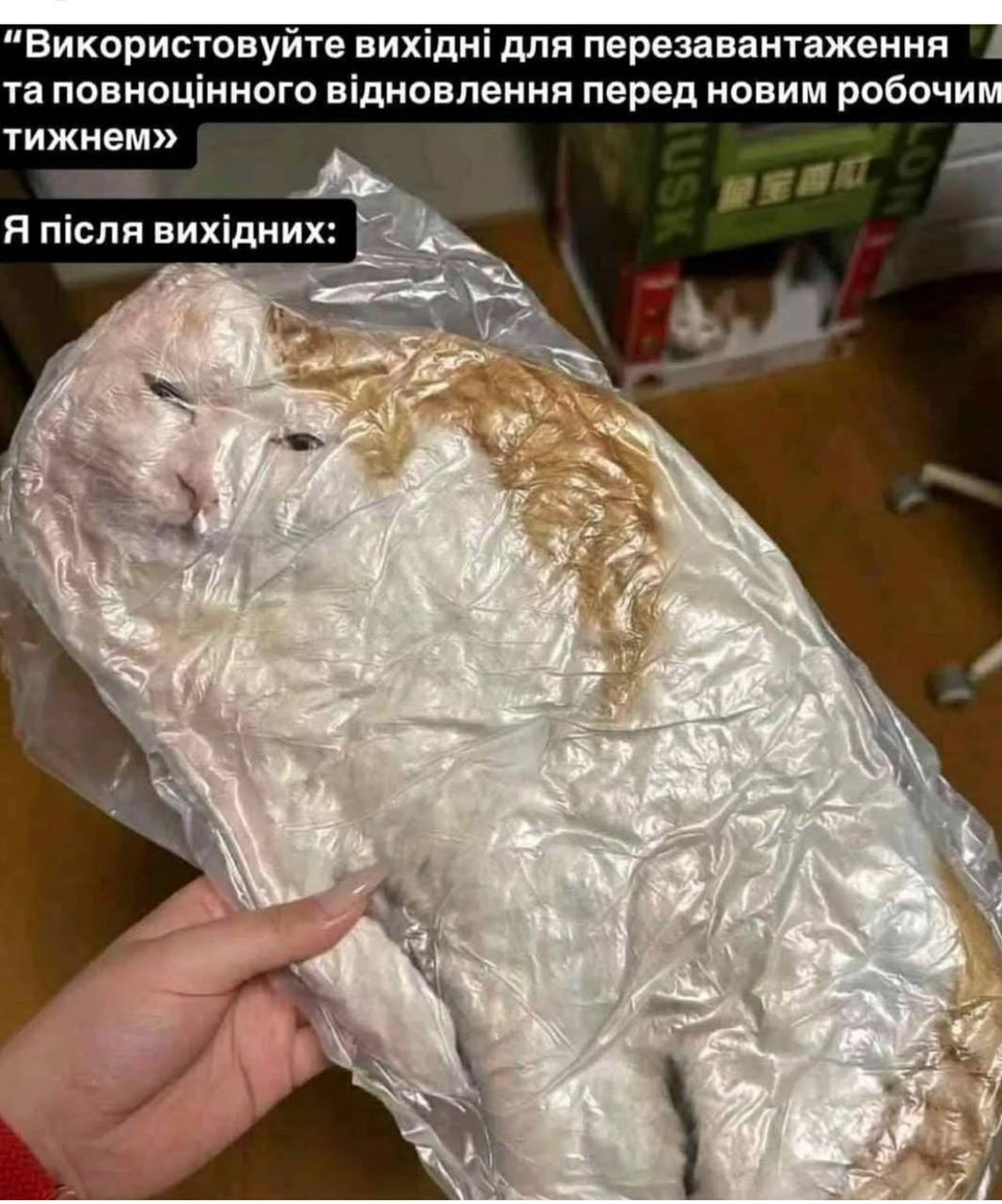 Анекдот дня