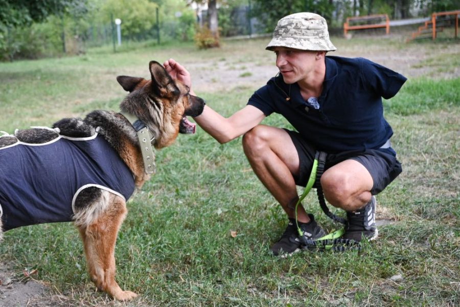 У Львові ветеран з ампутованою рукою піклується про 60 собак у притулку