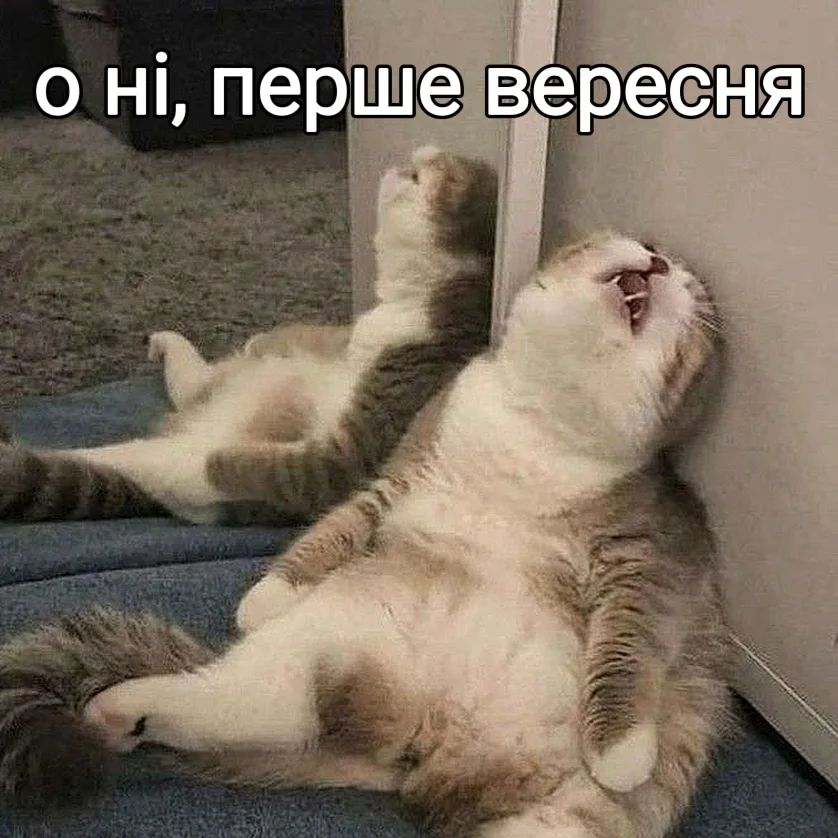 Анекдот дня
