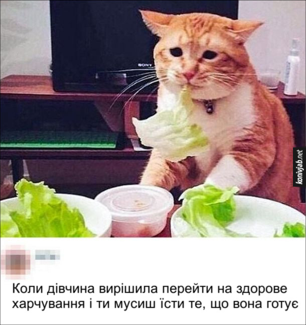 Анекдот дня