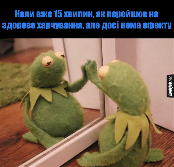 Анекдот дня