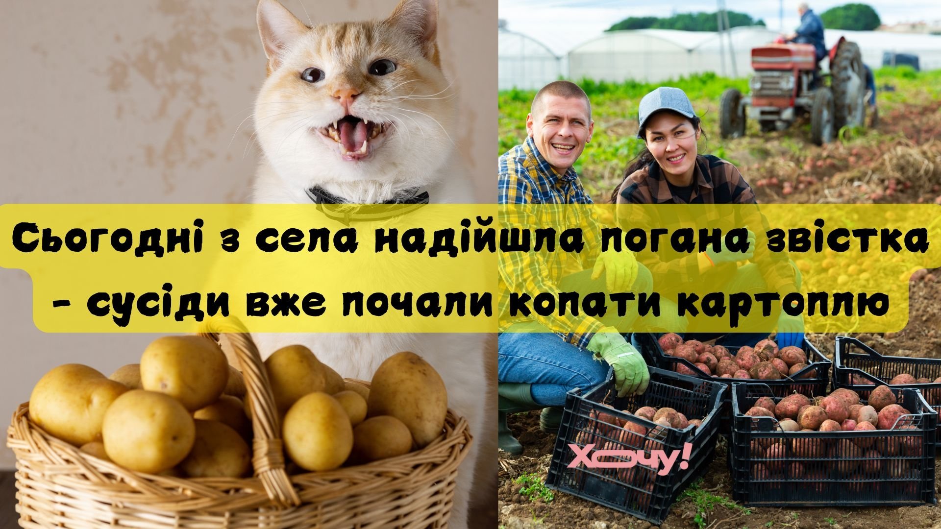 Анекдот дня