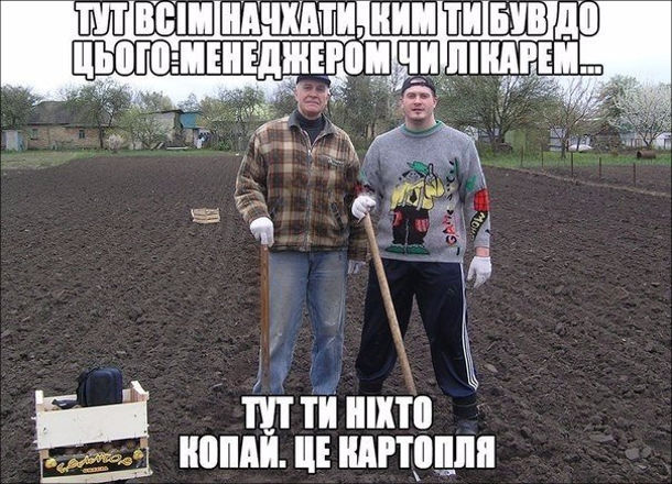 Анекдот дня