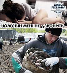 Анекдот дня