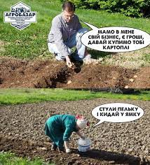 Анекдот дня