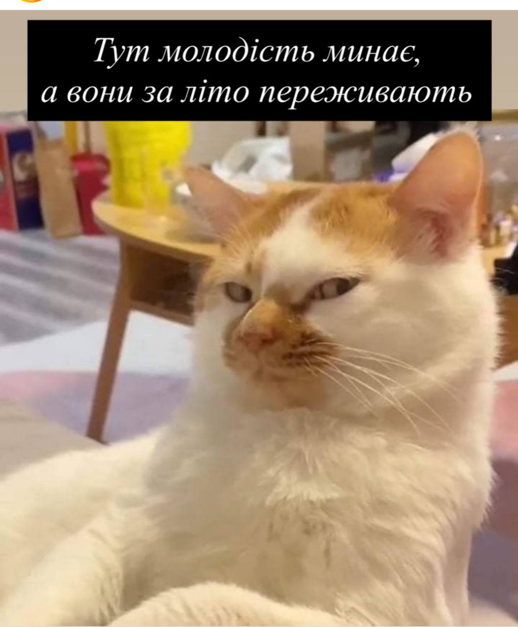 Анекдот дня