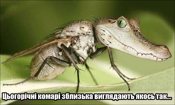 Анекдот дня