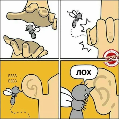 Анекдот дня