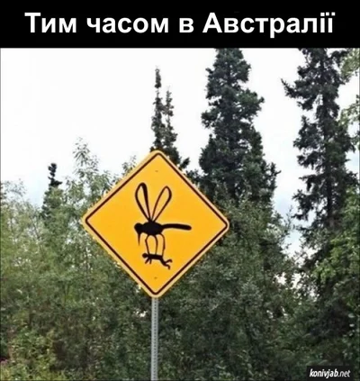 Анекдот дня