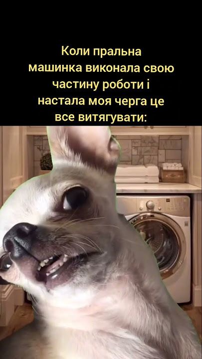 Анекдот дня