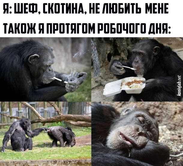 Анекдот дня