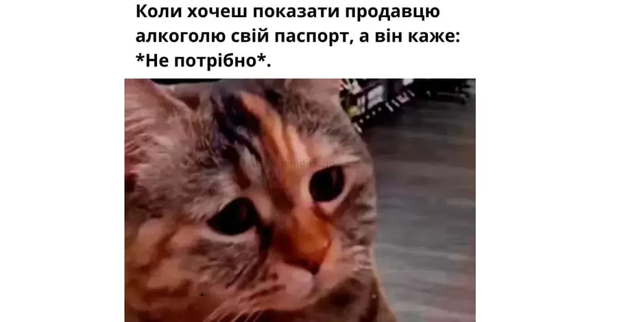 Анекдот дня